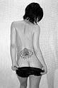 ceph_photo02.jpg