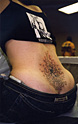 anemone_tat06.jpg
