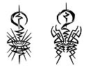 scorpion_eyes_art.jpg
